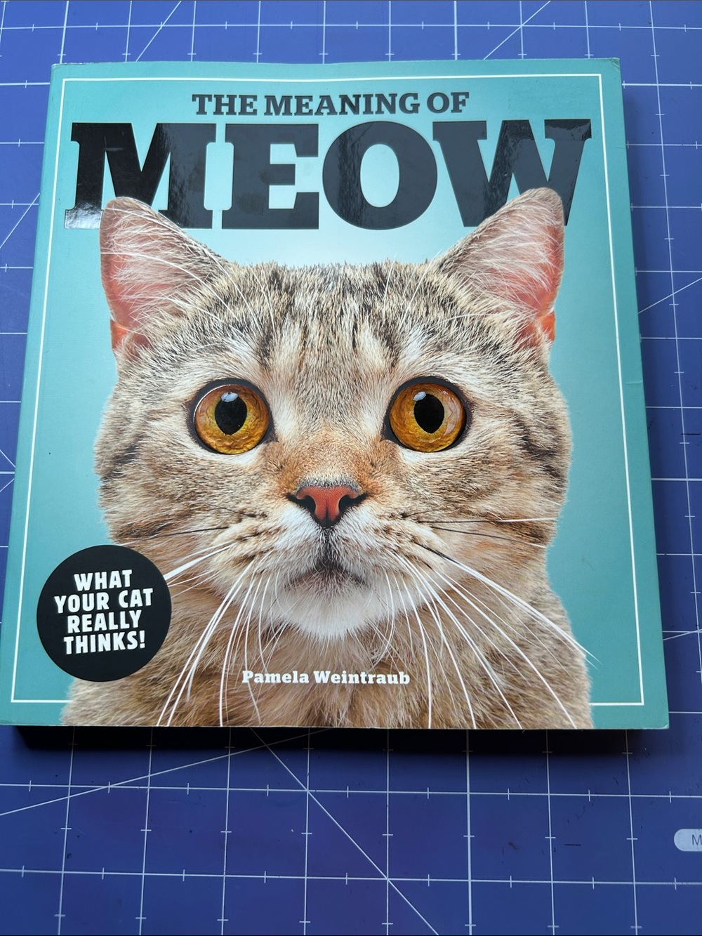 Book on cats by Pamela Weintraub The Meaning of Meow 192 illustration photos
